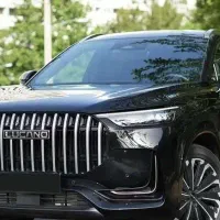 لوکانو L8 تحویل فوری