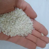 برنج عنبرو درجه یک بشرط پخت و مرجوعی