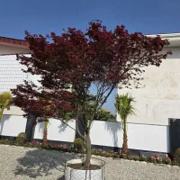 تهاتر بلوک یکجا با زمین