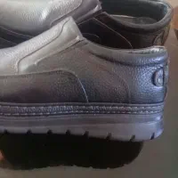 کفش اداری و مجلسی مردانه|کیف، کفش، کمربند|ایوان, |دیوار