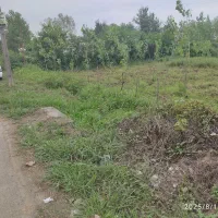 زمین شهری|فروش زمین و ملک کلنگی|گوراب زرمیخ, |دیوار