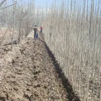 عمده و خرده فروشی