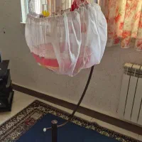 دو عدد فنچ به همراه قفس پایه دار|پرنده|رشت, معلم|دیوار