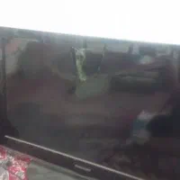 تلویزیون سامسونگ ۳۲اینچ