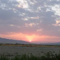 فروش مزرعه کشاورزی