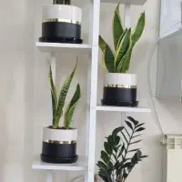 استند گل فلزی(شلف)