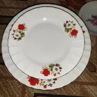 پشقاب و زیر پوستی گل سرخی|ظروف سرو و پذیرایی|اراک, |دیوار