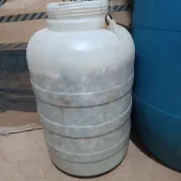 ماسه آکواریوم|ماهی|ری, فیروزآبادی|دیوار