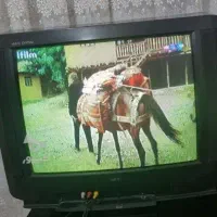 تلویزیون nec