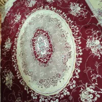 فرش ۶ متری رنگ زرشکی|فرش|قم, چهل درخت‎|دیوار