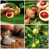۳هزار متر برای اجاره فومن