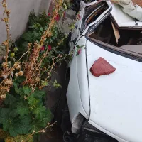 پژوslxتیو فایو مدل91