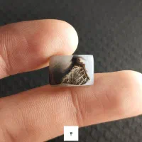 نگین شجر قائن|جواهرات|شاهین دژ, |دیوار