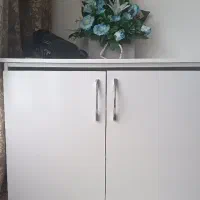 جاکفشی وپایه گل