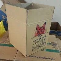 کارتن جهت اسباب کشی