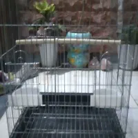 قفس بزرگ ۱۰۳۲ بزرگ سقف باز شو