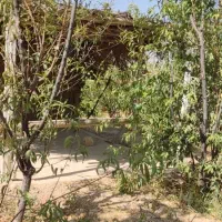 باغ.باغچه|فروش زمین و ملک کلنگی|سیدان, |دیوار