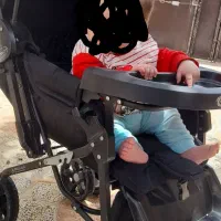 کالسکه|کالسکه و لوازم جانبی|خزل, |دیوار