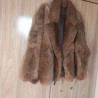 کاپشن پوست اصل|لباس|رشت, حمیدیان|دیوار