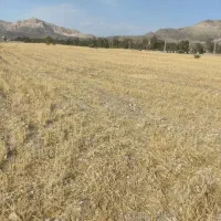 زمین با چاه عمیق متری ۲۰۰هزارتومان دراردبیل