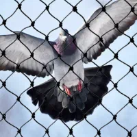 نصب توری مرغی بالکن پاسیو تراس نورگیر فروش