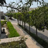 فروش-ملک-در-شهرک-یاس-کنگان