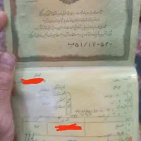 شناسنامه پیداشده به نام خانم ترنج دهقانی|اشیا|تربت جام, فاز ۳ فرهنگیان|دیوار