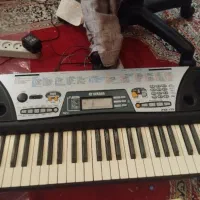 فروش و معاوضه با طوطی سانان هم قیمت