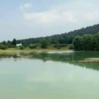 فروش زمین کنار دریاچه و جنگل از ۱۲۰ متر تا ۱۰۰۰متر|فروش زمین و ملک کلنگی|محمودآباد, |دیوار