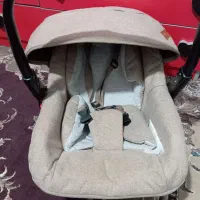 کریر نوزاد