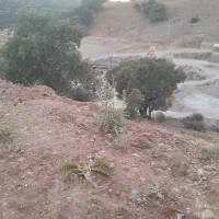 زمین باغی پلیس راه یاسوج اصفهان کنار رودخانه بشار|فروش زمین و ملک کلنگی|یاسوج, |دیوار