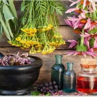 دمنوش‌های گیاهی ویژه فصل سرما