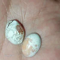 مهره ونگین عقیقه کهنه پاتین دار