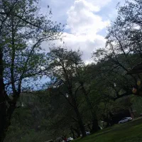 استخدام نگهبان و نظافتچی