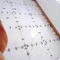 اجرا کاشی سرامیک وقرنیز وانتیک ومزایک قیمت مناسب|خدمات پیشه و مهارت|بابل, |دیوار