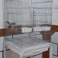 قفس همراه پایه
