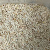 تیوم گرگه|گل و گیاه طبیعی|ایوان, |دیوار