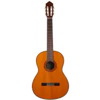 گیتار و سه تار