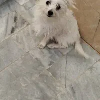 فروش فوری تا فردا ۱۵۰۰