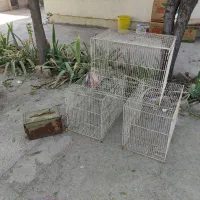 قفس پرنده