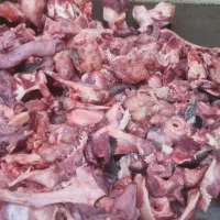 ضایعات غذای سگ