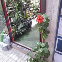تعویض گل و گلدان با کتاب دفتر باطله|گل و گیاه طبیعی|قوچان, |دیوار