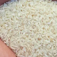 برنج خوشپخت