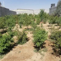 باغ-چهار-دیواری