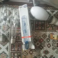لامپ خیاری