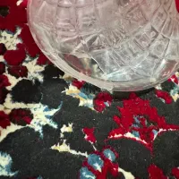 قلیون سوپاپی|کلکسیون و سرگرمی|بندر ماهشهر, |دیوار