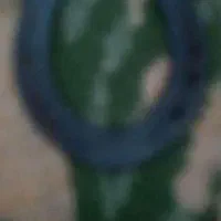 انواع نعل