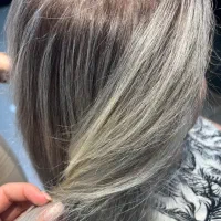 مدل برای امبره