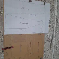 الگو رگالی و کودک دوخت برتر