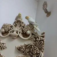 عروس هلندی دستی وسخن گو|پرنده|قم, زاویه|دیوار